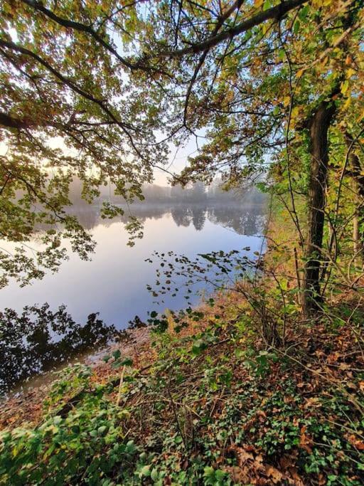 Ferienhaus Blauer See Mit Optionalem Hot-Tub Бокхорн Екстериор снимка