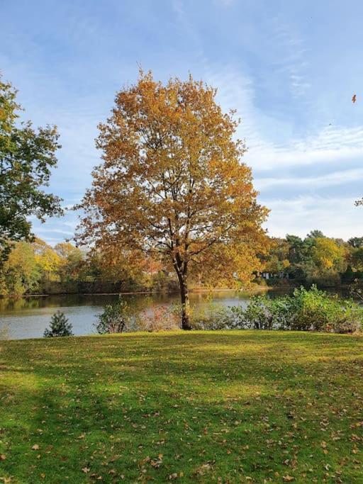 Ferienhaus Blauer See Mit Optionalem Hot-Tub Бокхорн Екстериор снимка