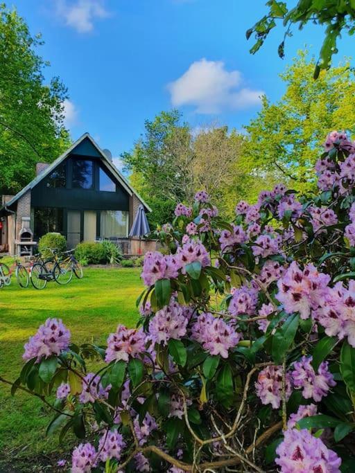 Ferienhaus Blauer See Mit Optionalem Hot-Tub Бокхорн Екстериор снимка