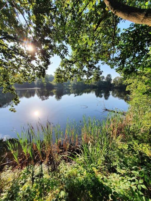 Ferienhaus Blauer See Mit Optionalem Hot-Tub Бокхорн Екстериор снимка